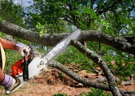 Mulching Services in Sheffield, IA
