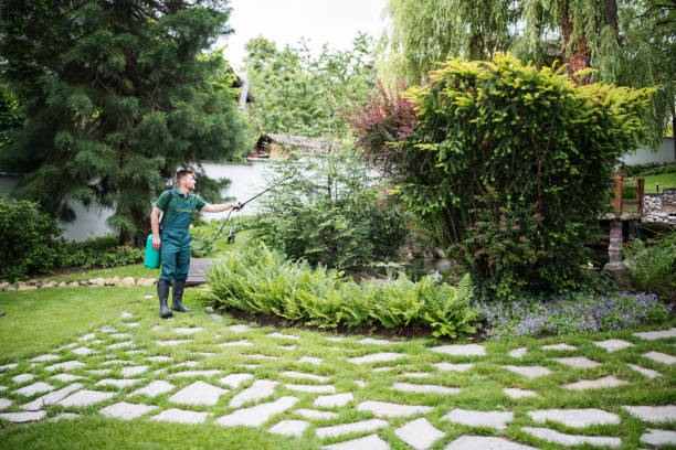 Best Tree Health Inspection  in Sheffield, IA